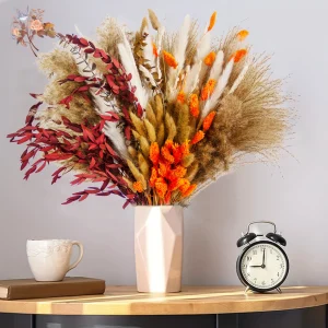 89Pcs Foxtail Pampas Natural Dried