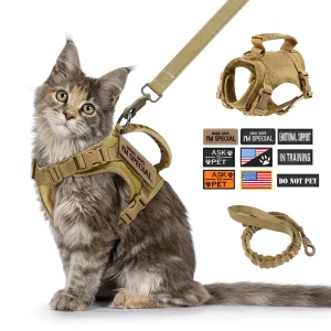 Cat/Small Dog/Puppy Harness Leash: Adjustable Pet Accessories